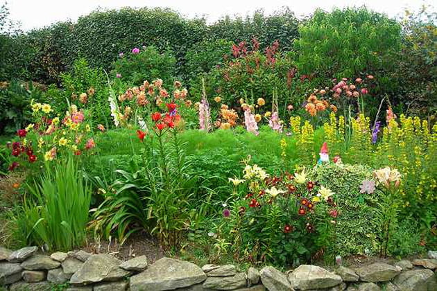 Des fleurs bretonnes