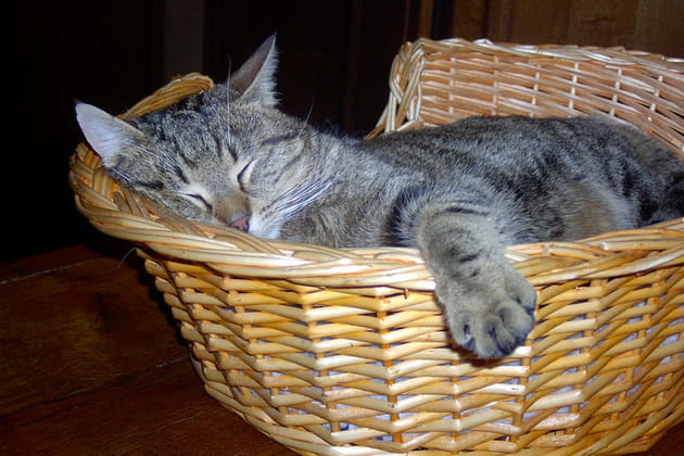 Plut&ocirc;t pacha qu'empereur