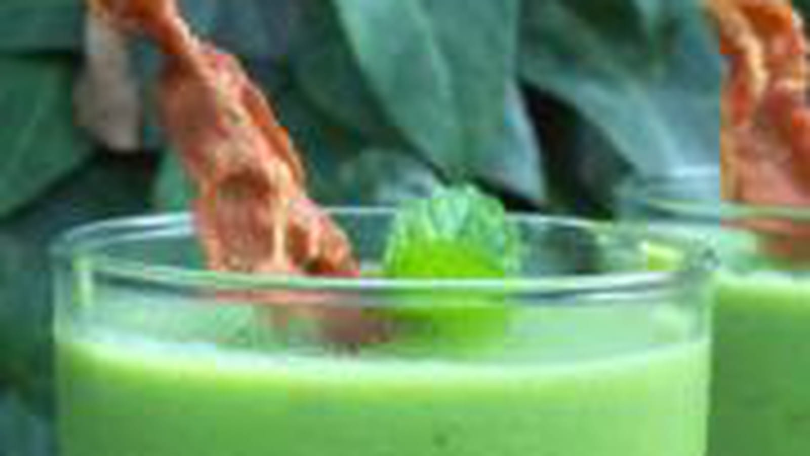 Panna cotta de petits pois à la menthe