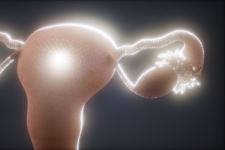 Ovulation tardive : symptômes, causes, jusqu'à quand ?