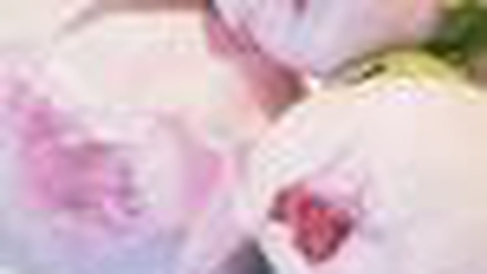 Pivoines et poids de senteur