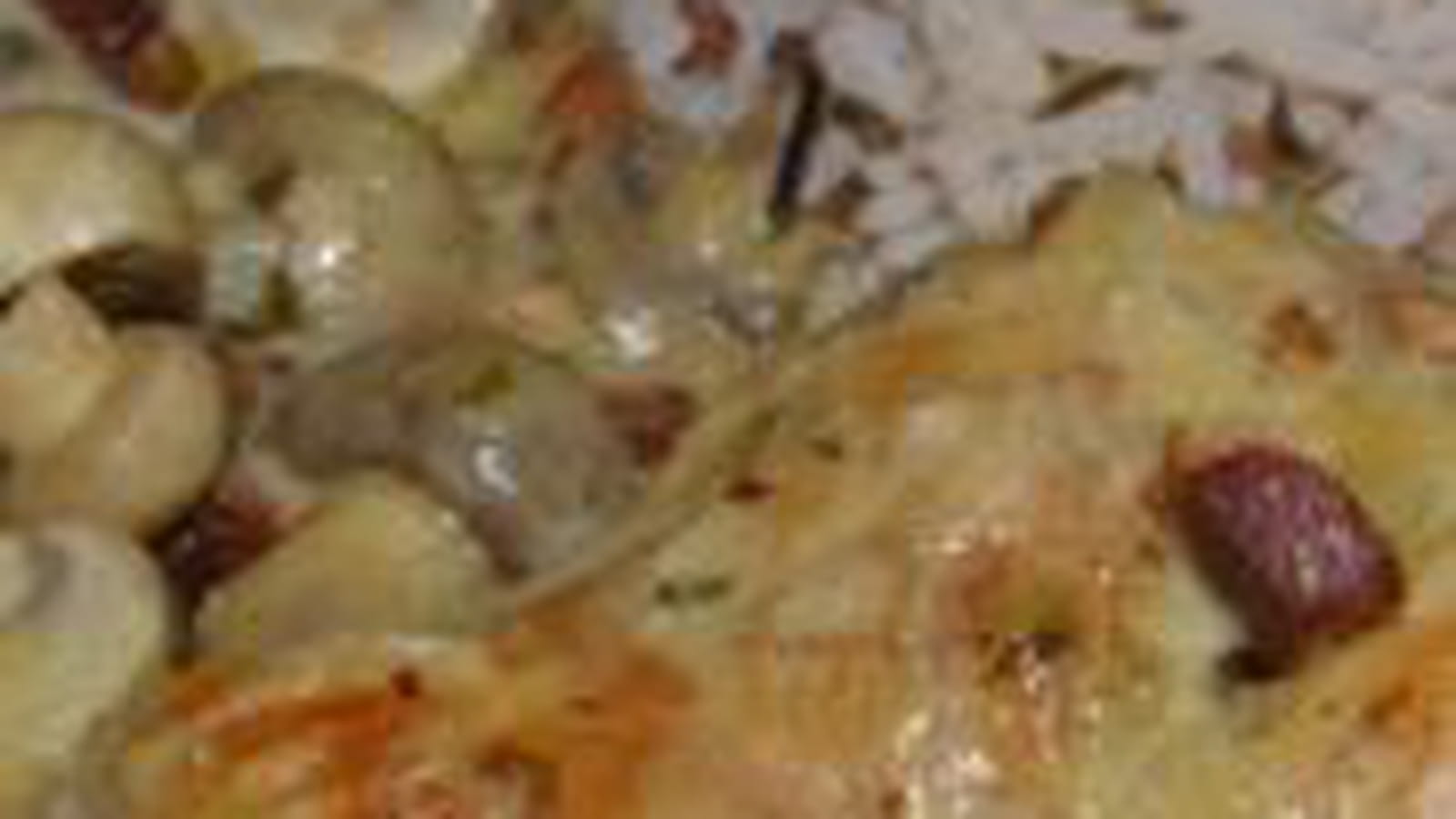 Lapin à la moutarde