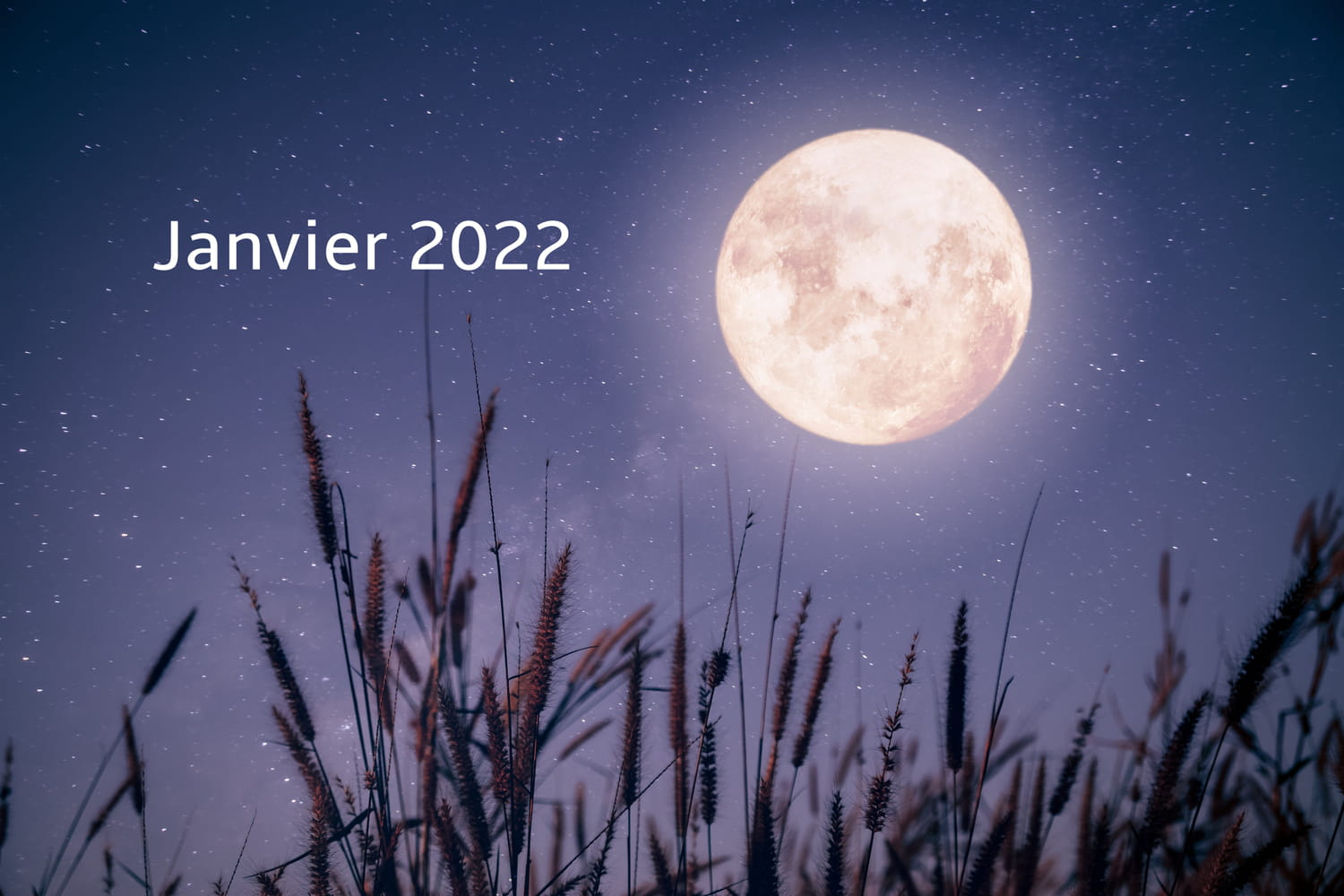 Calendrier lunaire au jardin janvier 2022