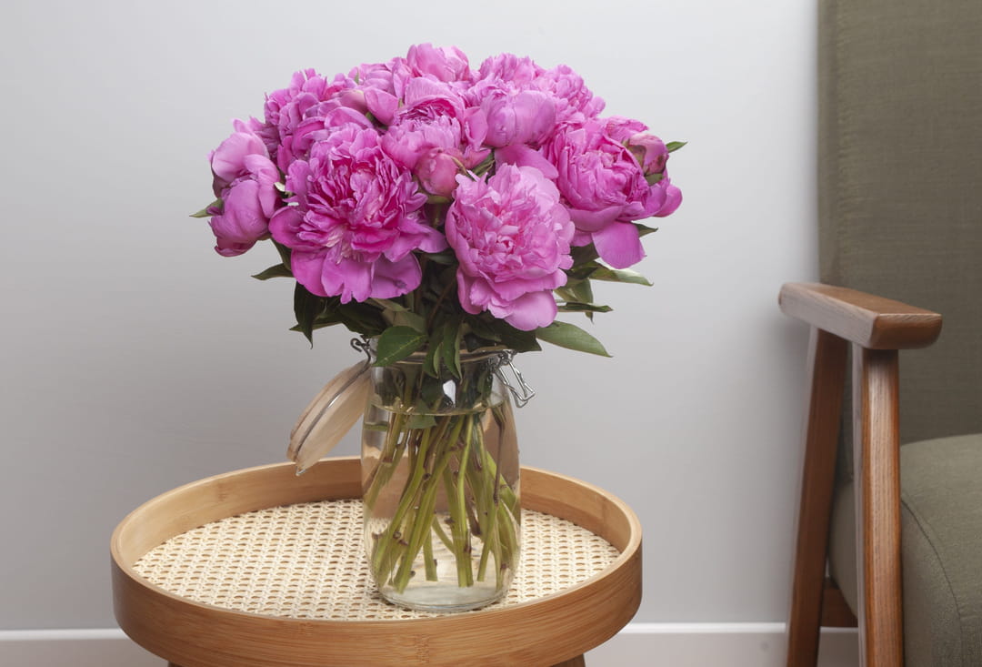 pivoines-fete-des-meres-aquarelle