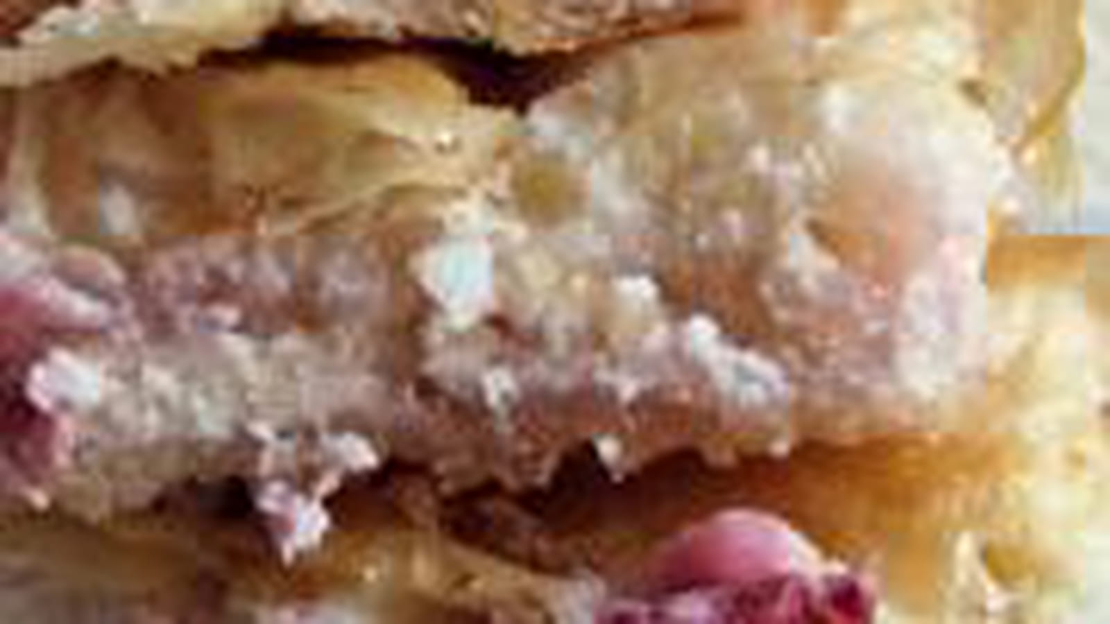 Cheesecake griotte fleur oranger