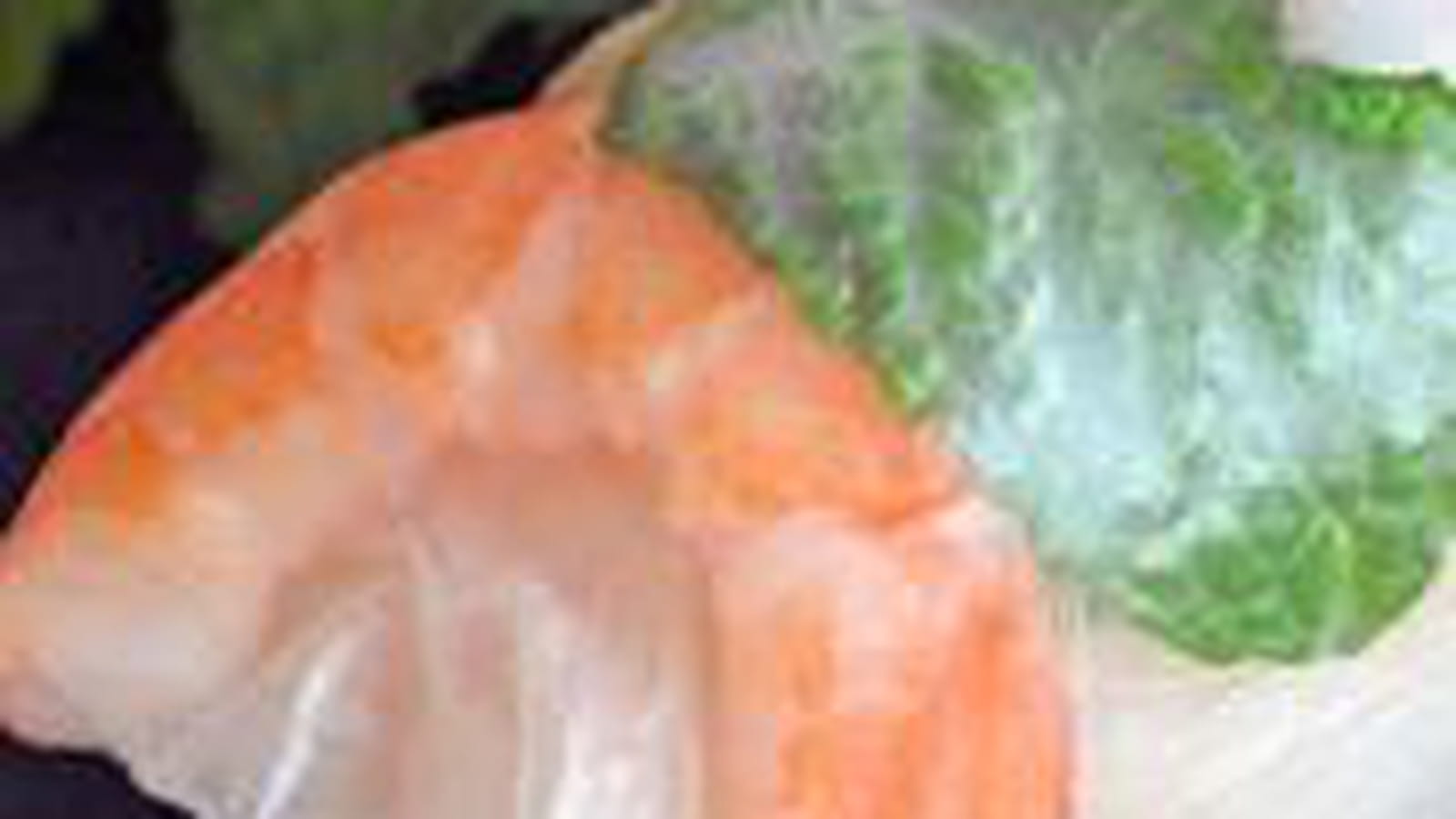 Rouleaux de printemps