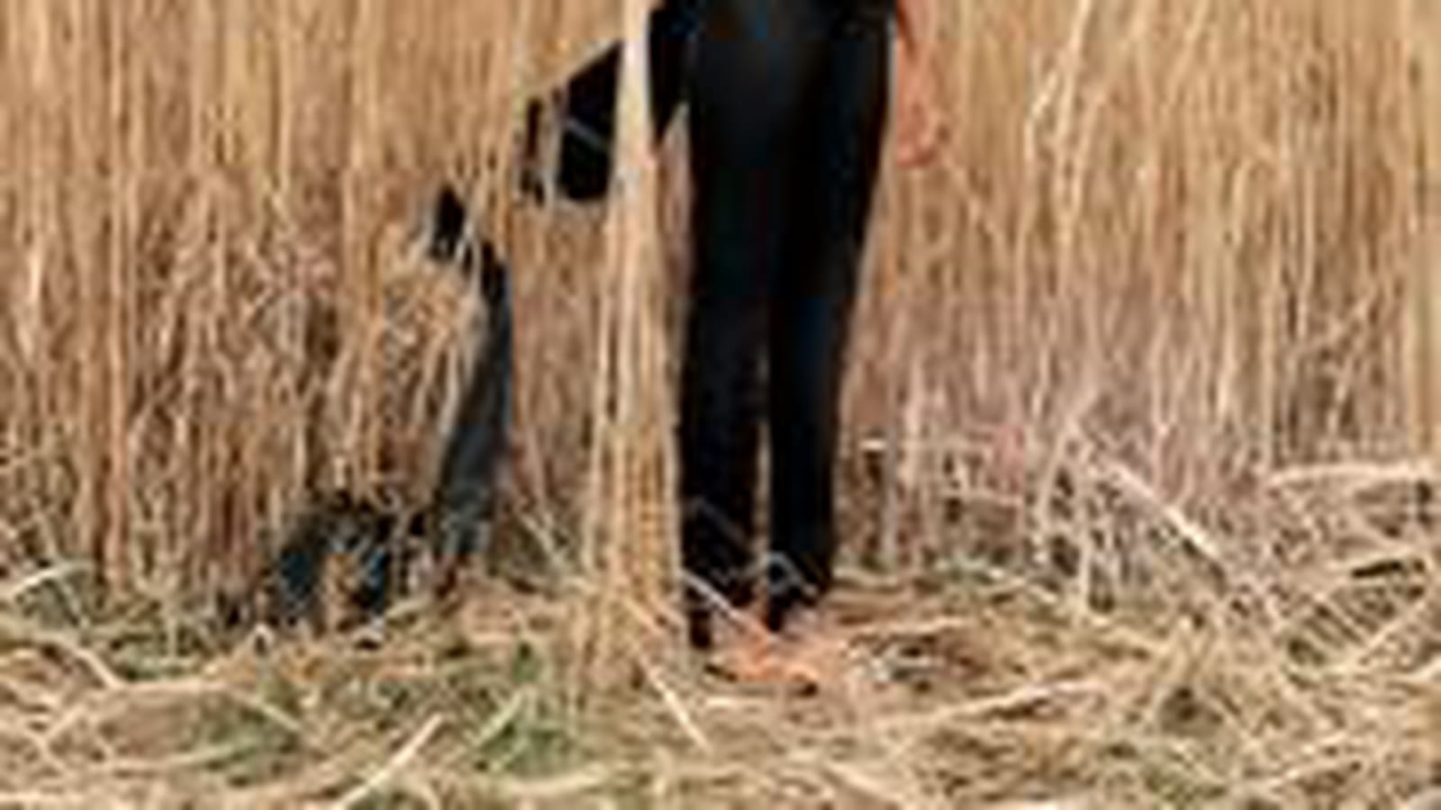 Oda Pausma