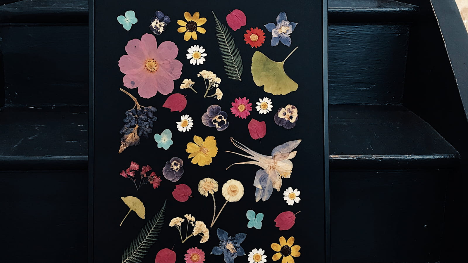 Herbier Herbarium x Make my lemonade