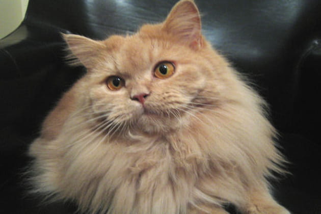 Discr&eacute;tion assur&eacute;e