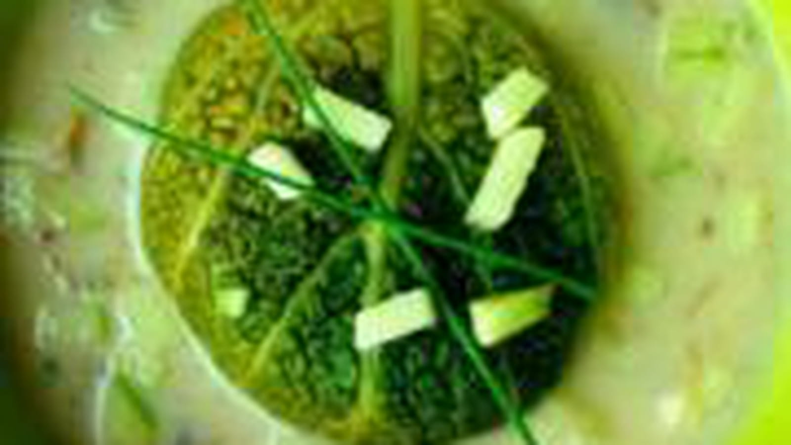 Paupiettes de saumon, champignons et pomme granny