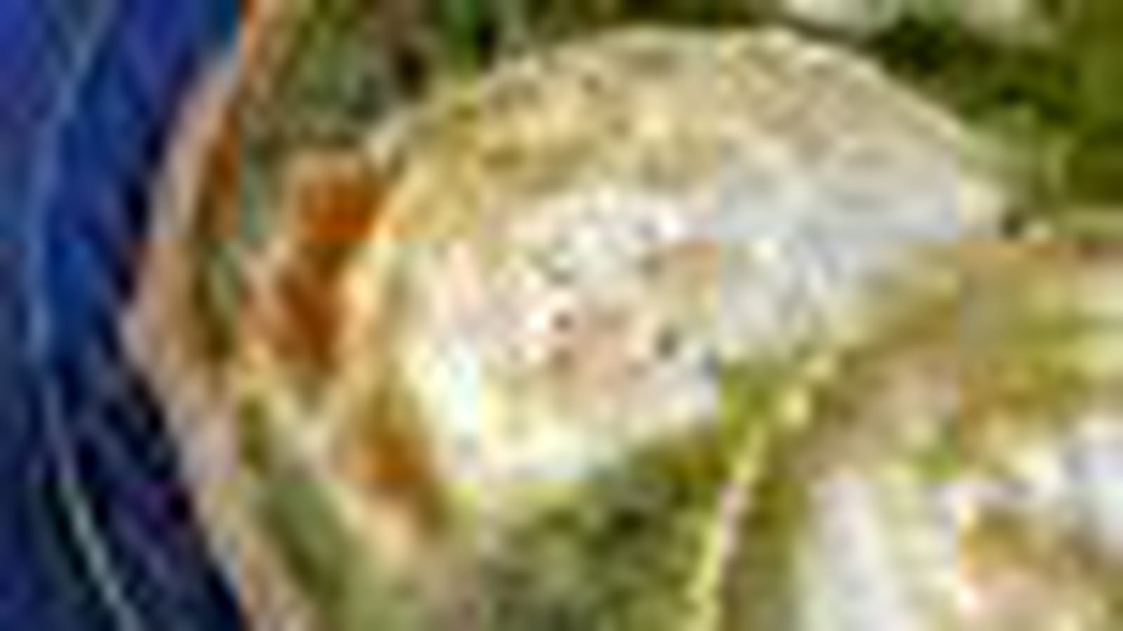 Cresson