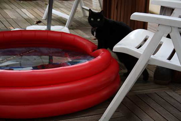 Chacha &agrave; la piscine