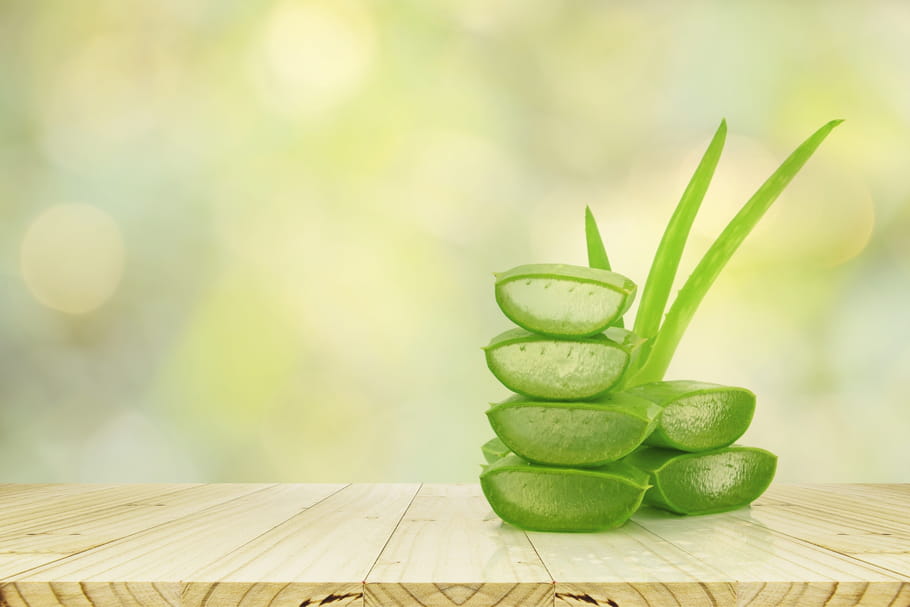 Aloe vera : comment se soigner avec, quelles contre-indications ?