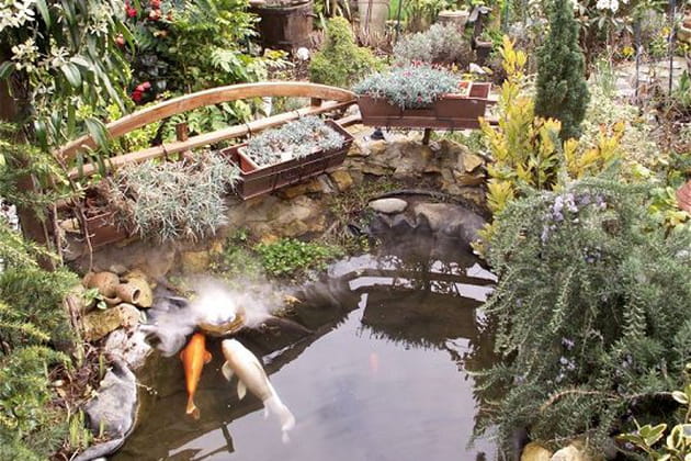 Le bassin, la fierté de Claudette et Jacques