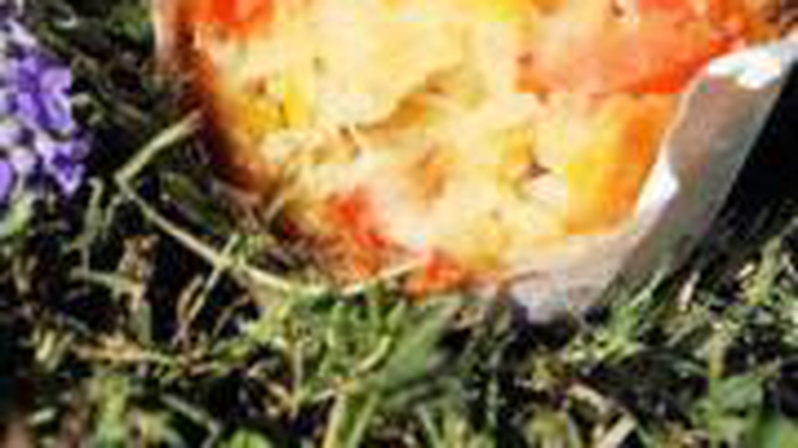 Muffins aux légumes d'été