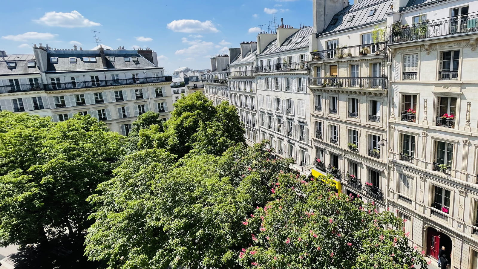 Vue dégagée 
