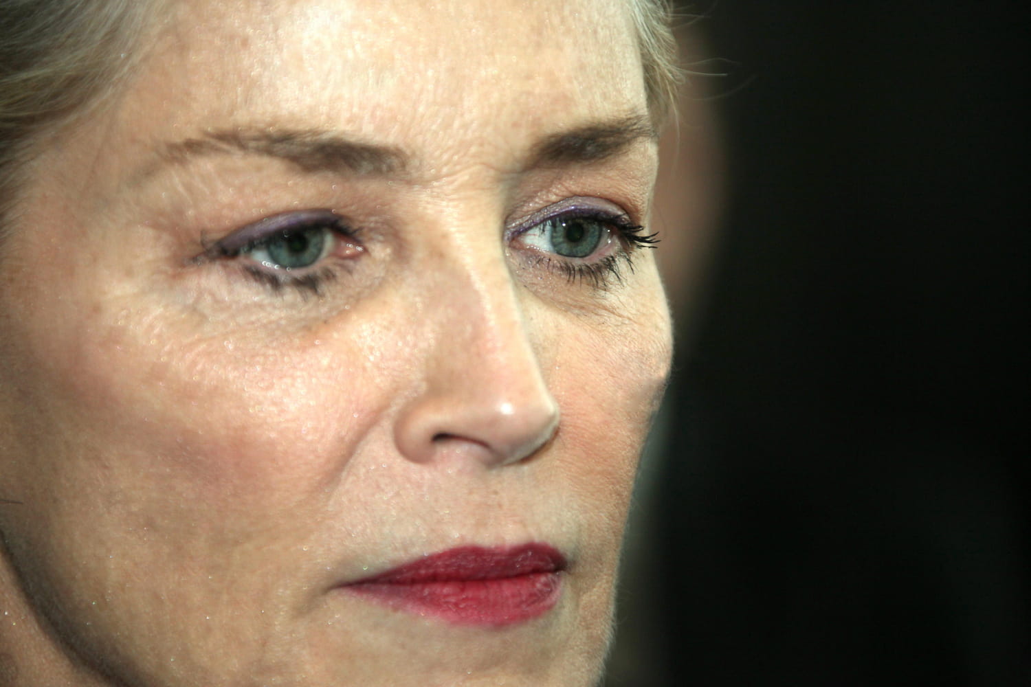 Sharon Stone, anéantie par la mort de ce bébé de 11 mois