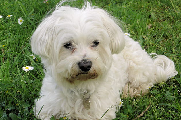 Mani &agrave; la campagne