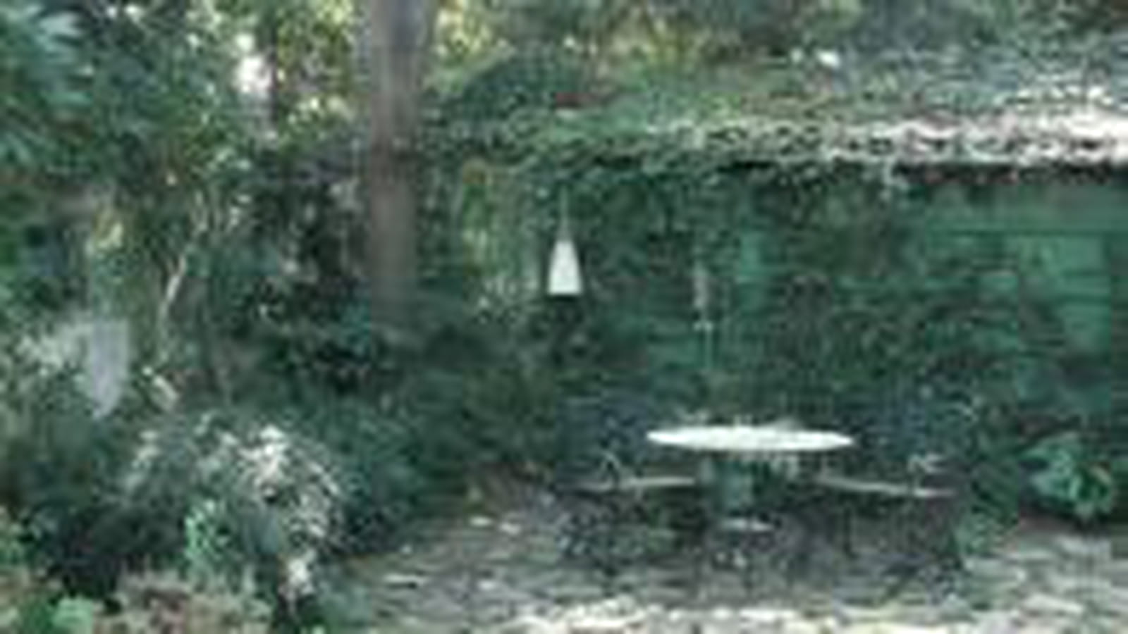 Cabanon sous le lierre