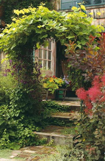 Un v&eacute;ritable labyrinthe v&eacute;g&eacute;tal