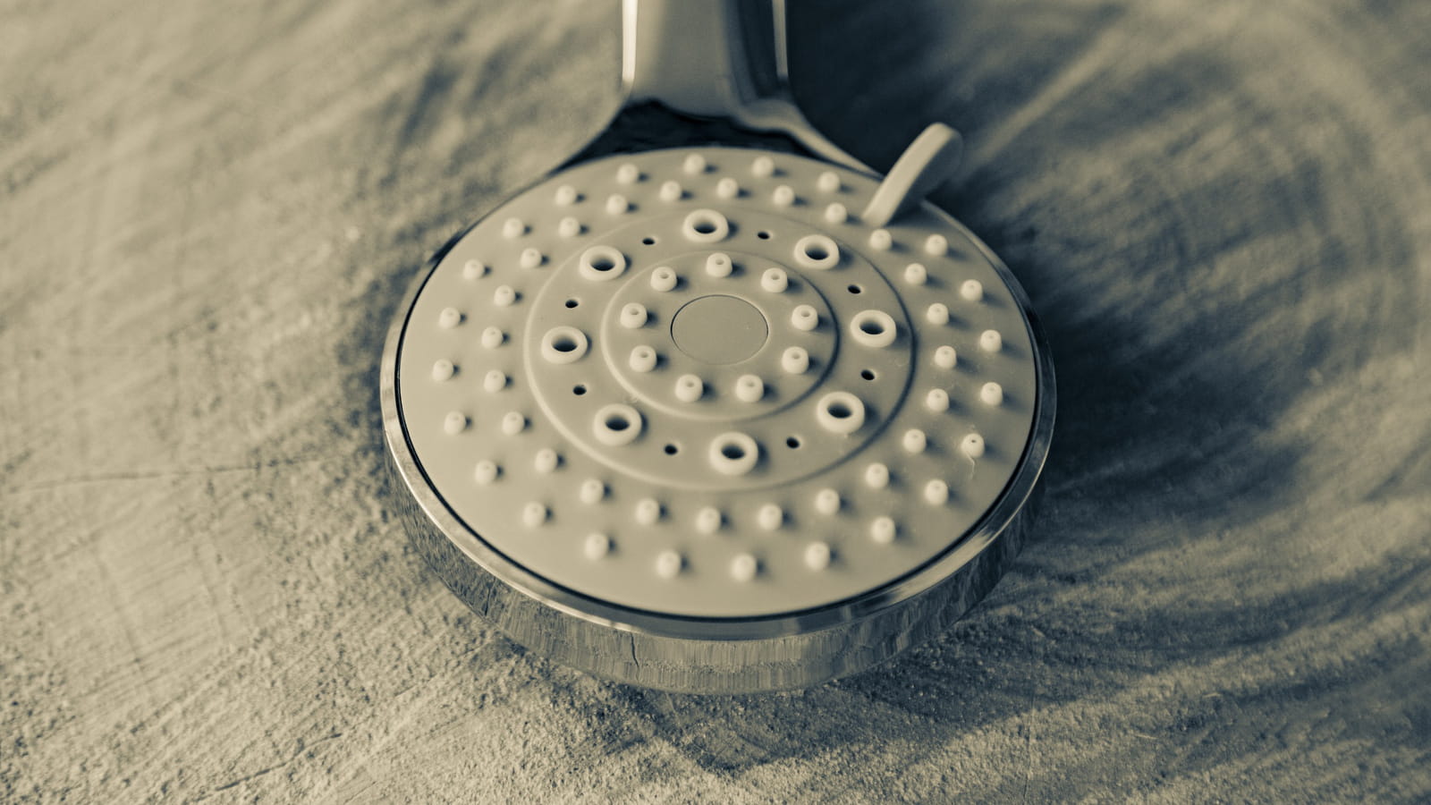 Le pommeau de douche