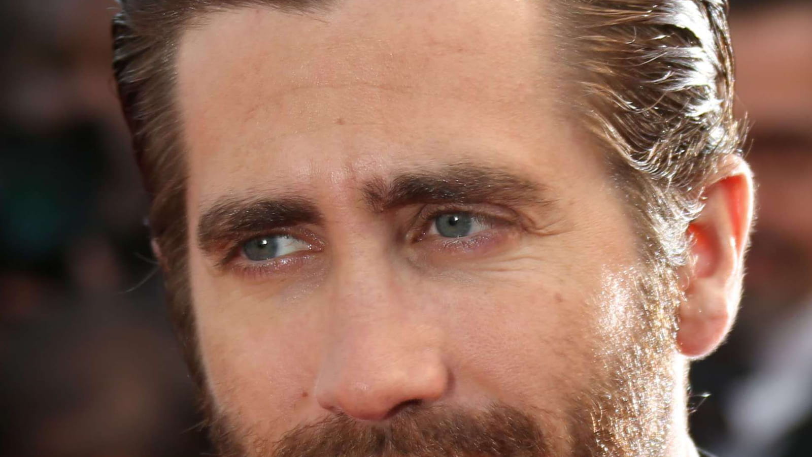 Jake Gyllenhaal