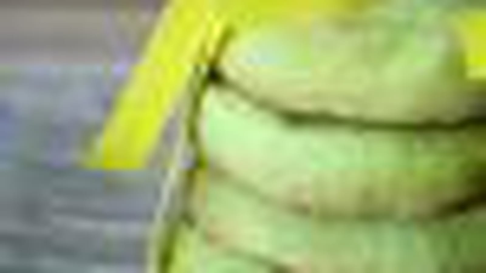 Menthe