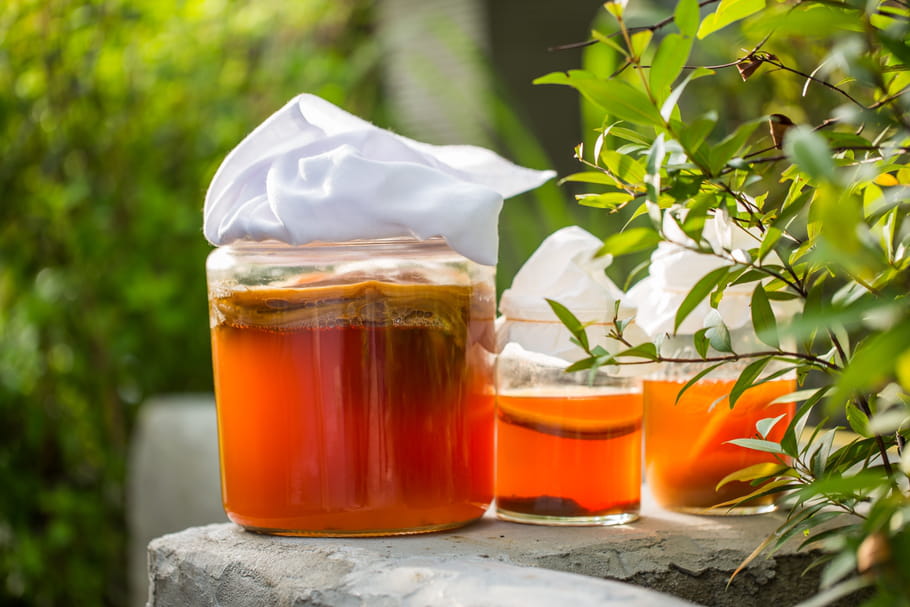 Le kombucha, "l'élixir de longue vie" à tester