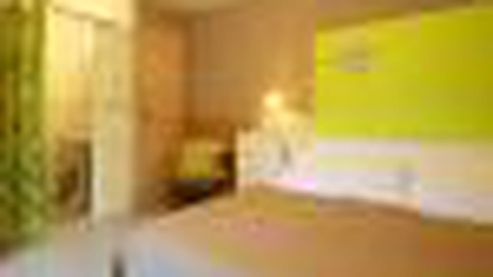Chambre Anis