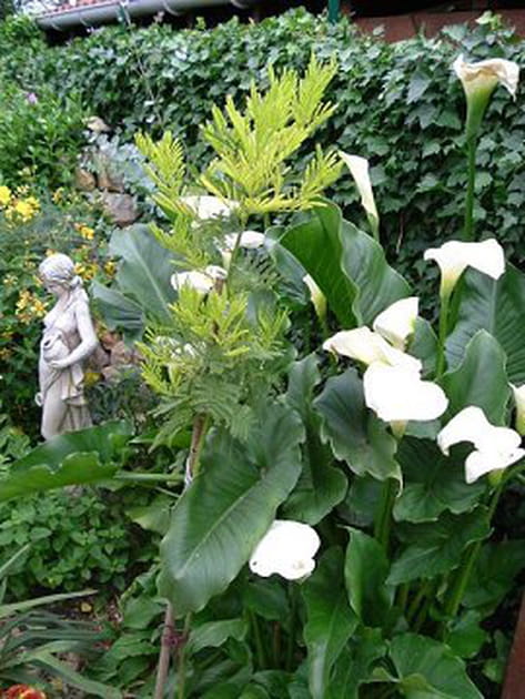 Des sculptures pleines de charme