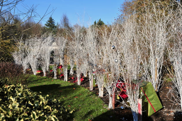 Des bordures enneig&eacute;es