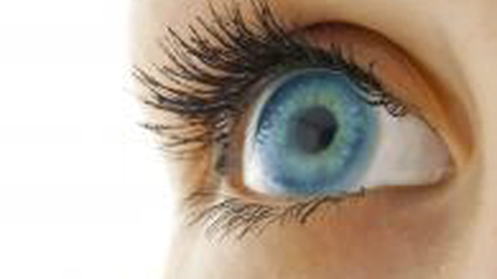 Quelles couleurs choisir pour mes yeux ?