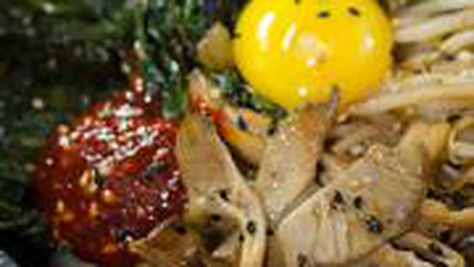 Bibimbap