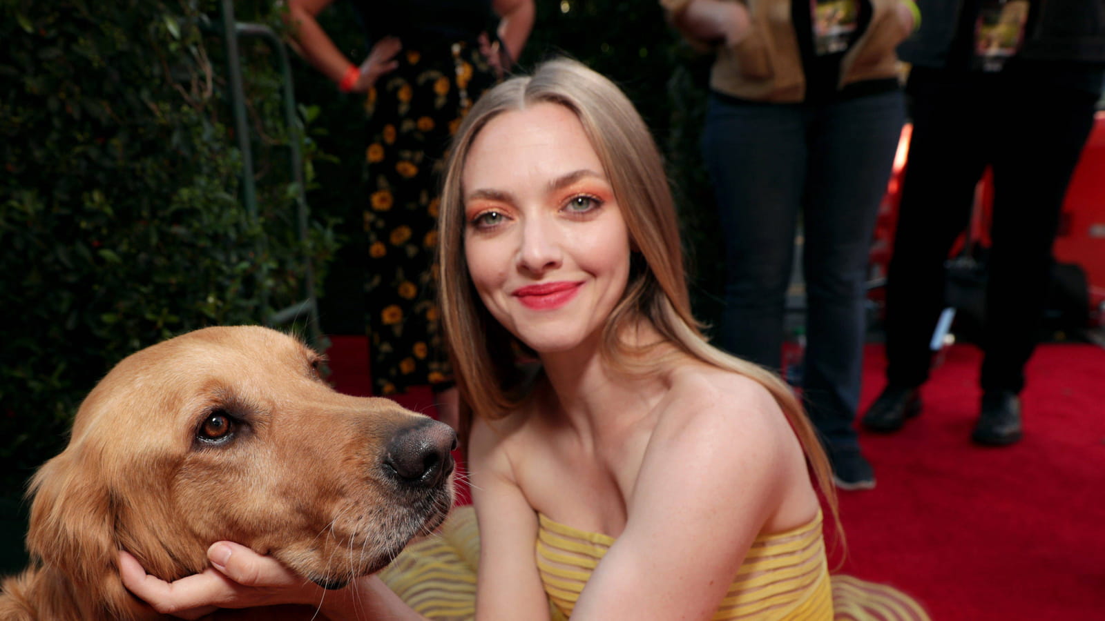 Amanda Seyfried