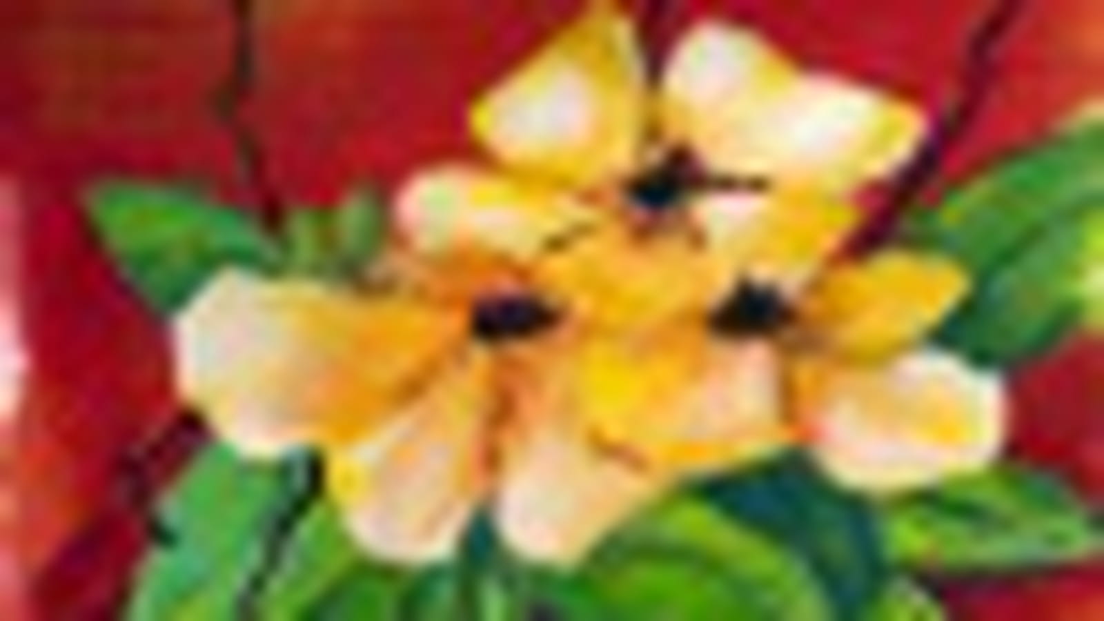 Fleurs