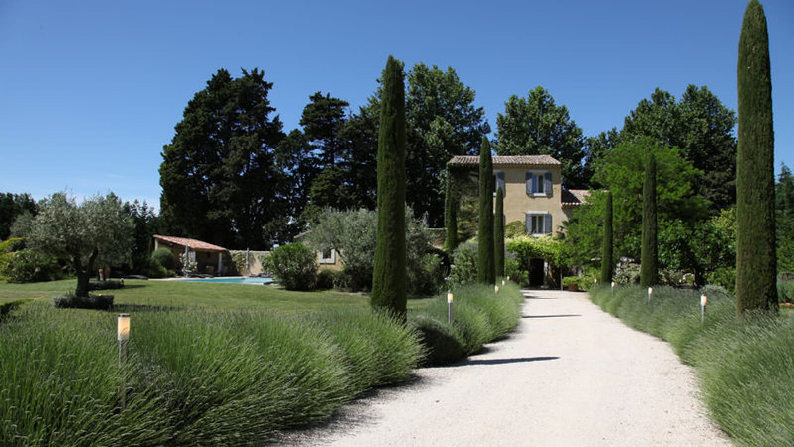 Lavande & cyprès