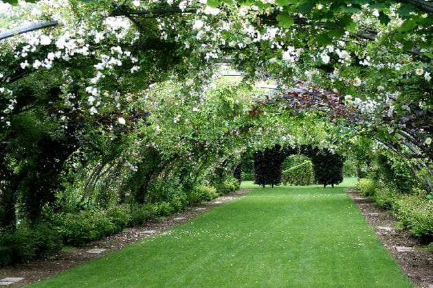 L'impressionnante cathédrale des roses