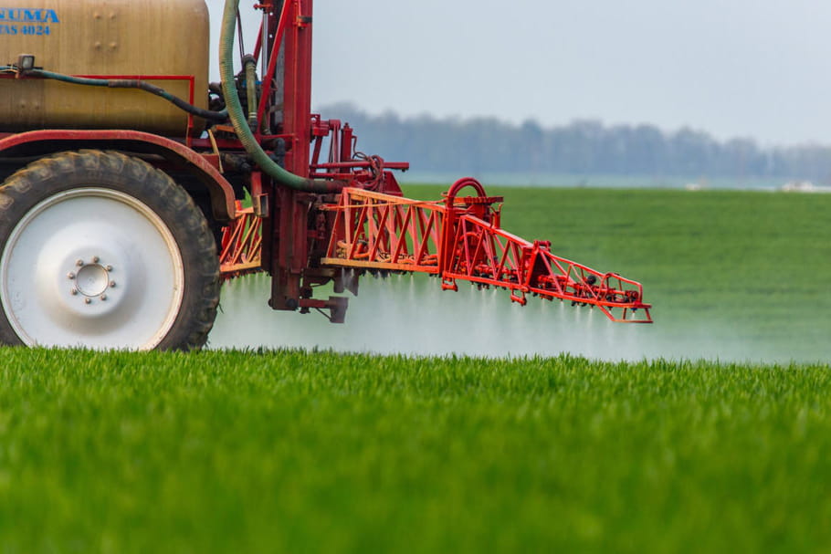Herbicides : pourquoi Ségolène Royal veut les interdire ?