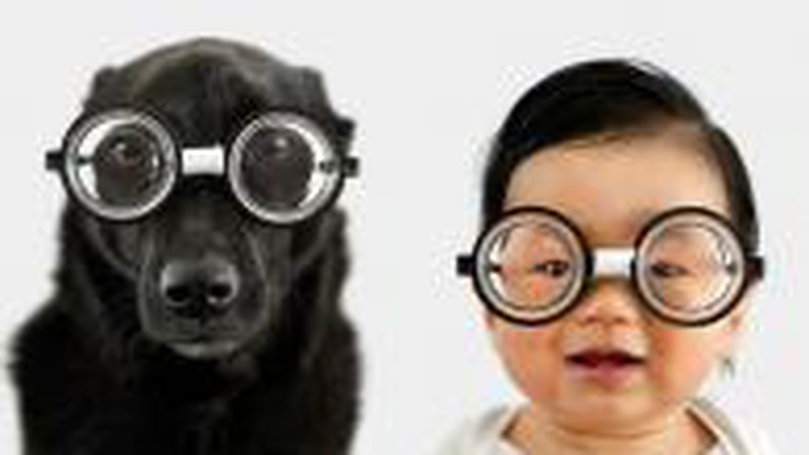 Jasper & Zoey, les bigleux