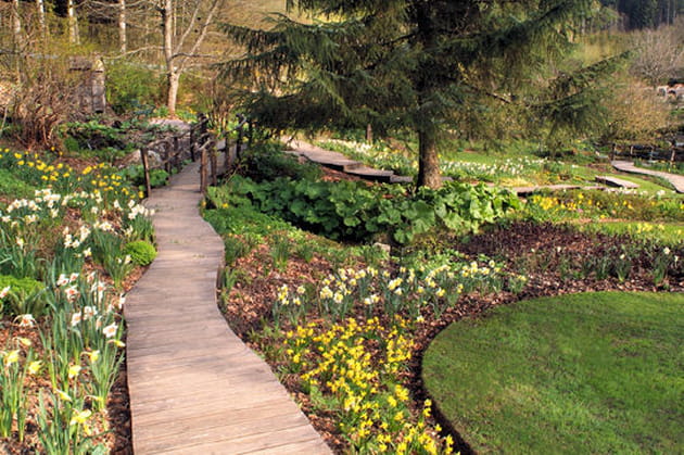 Des collections de fleurs exceptionnelles