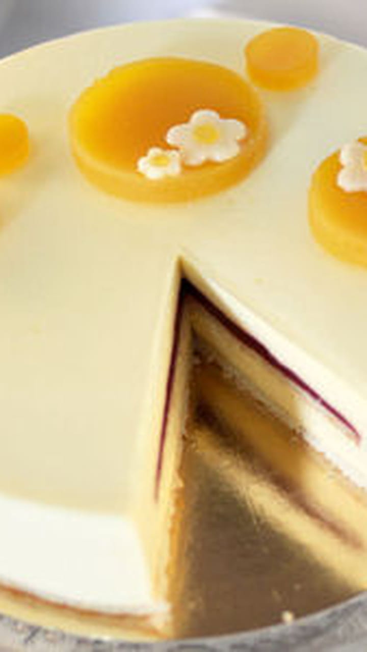 Le Caraque Entremets Chocolat Vanille Praline