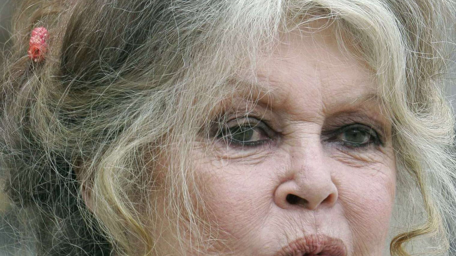 Brigitte Bardot