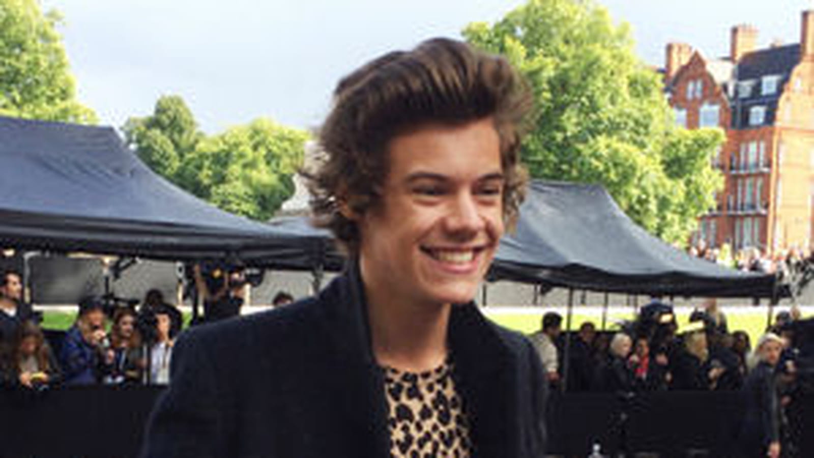 Harry Stile
