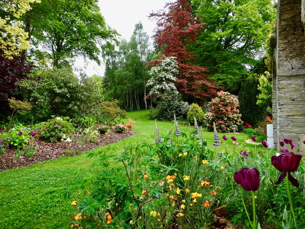 Une explosion de couleurs