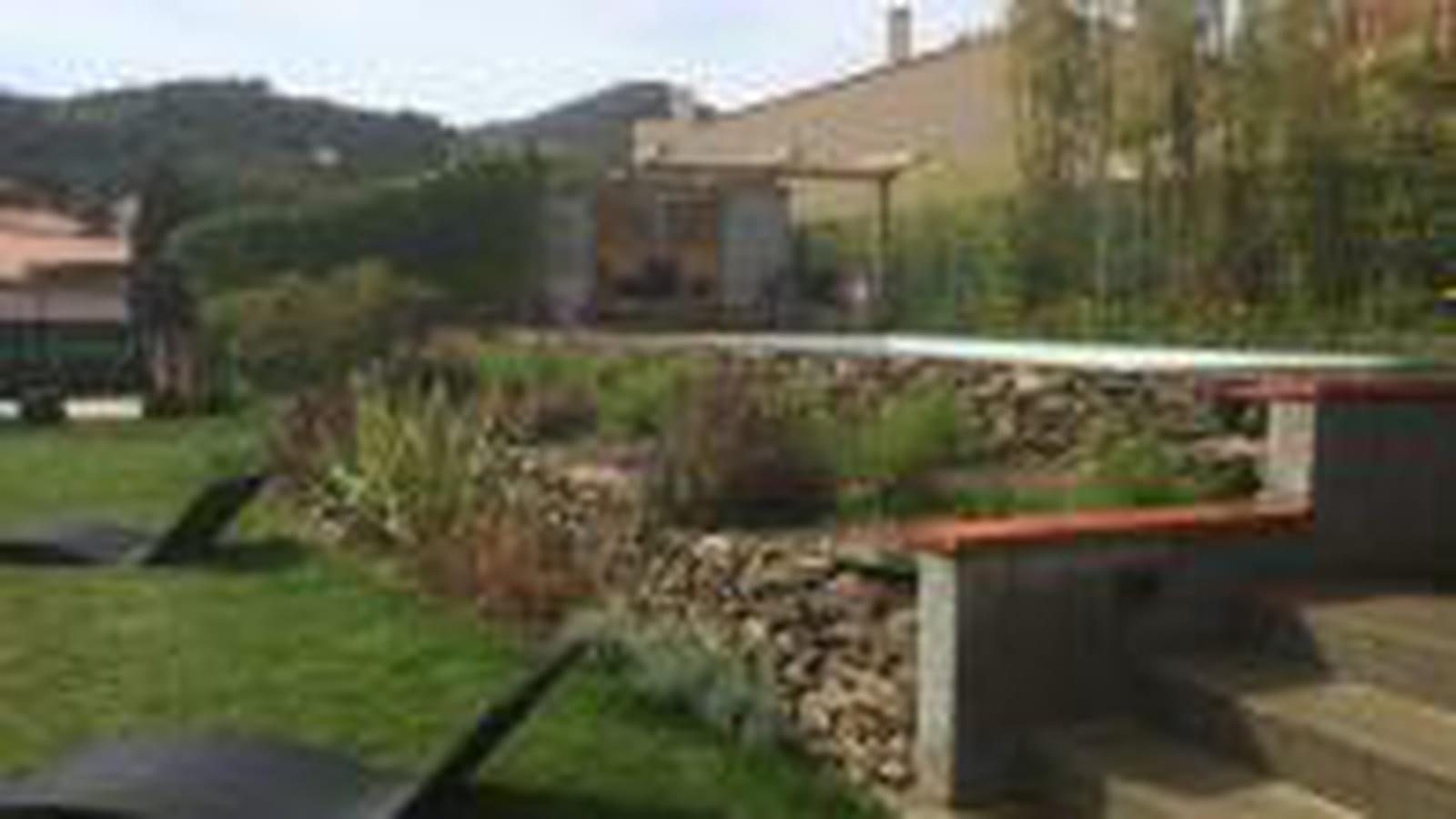 Massif de plantes