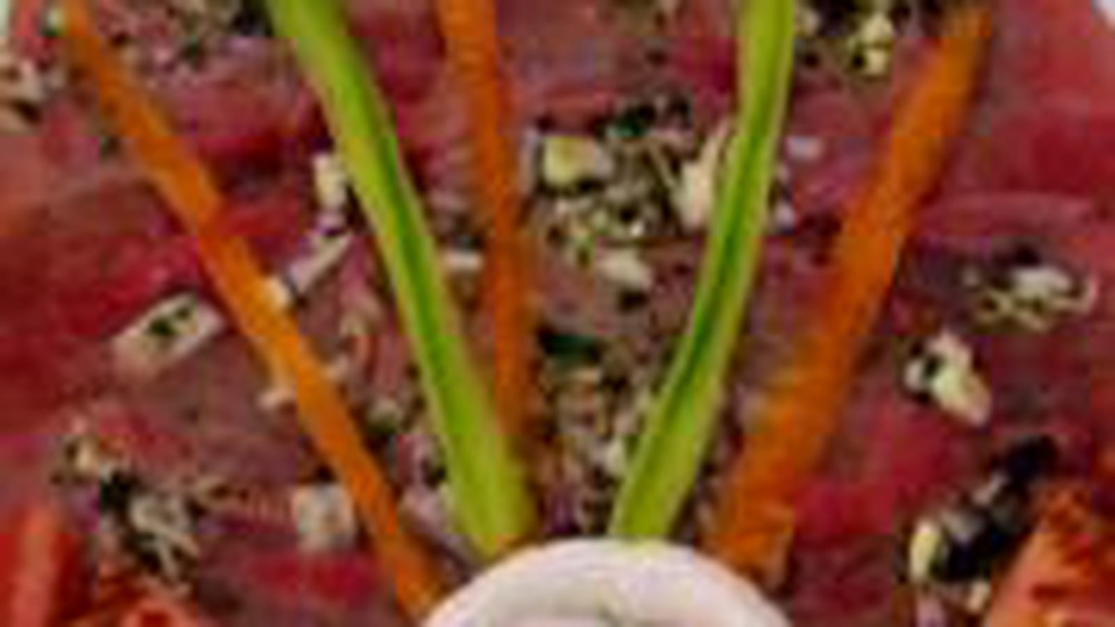 Carpaccio de boeuf