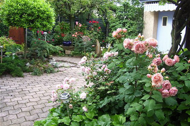 Toutes sortes de v&eacute;g&eacute;taux