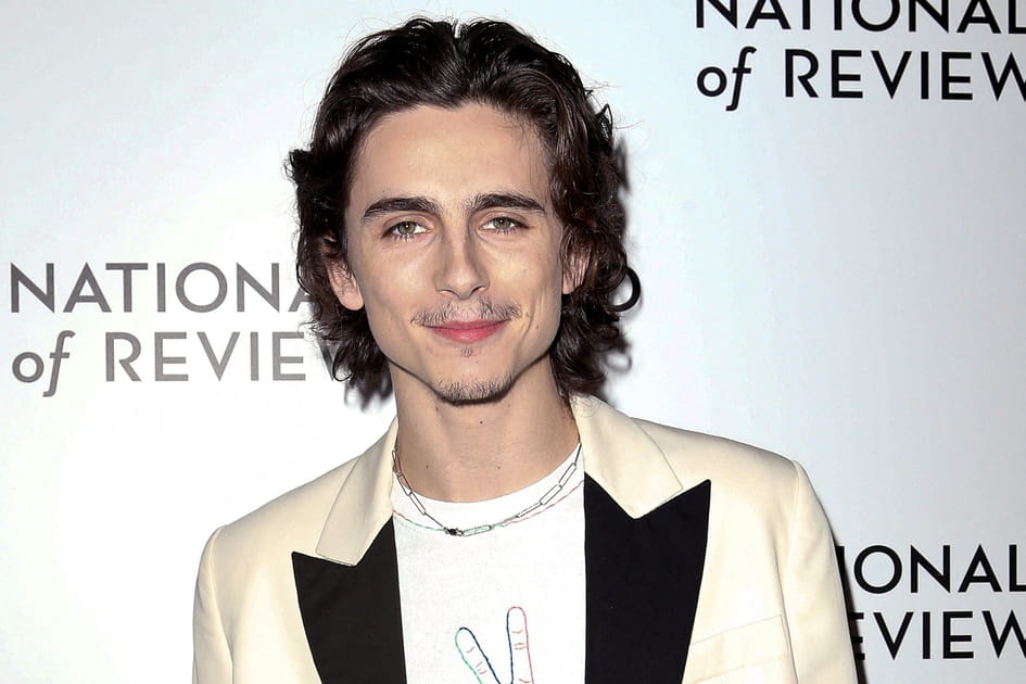 Le mi-long wavy de Timoth&eacute;e Chalamet