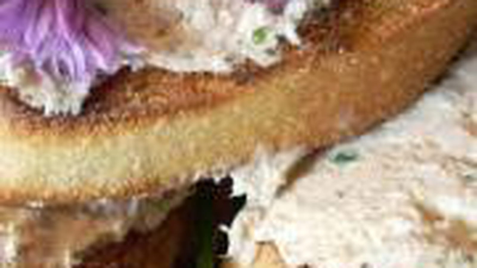 Toasts aux rillettes de sardines