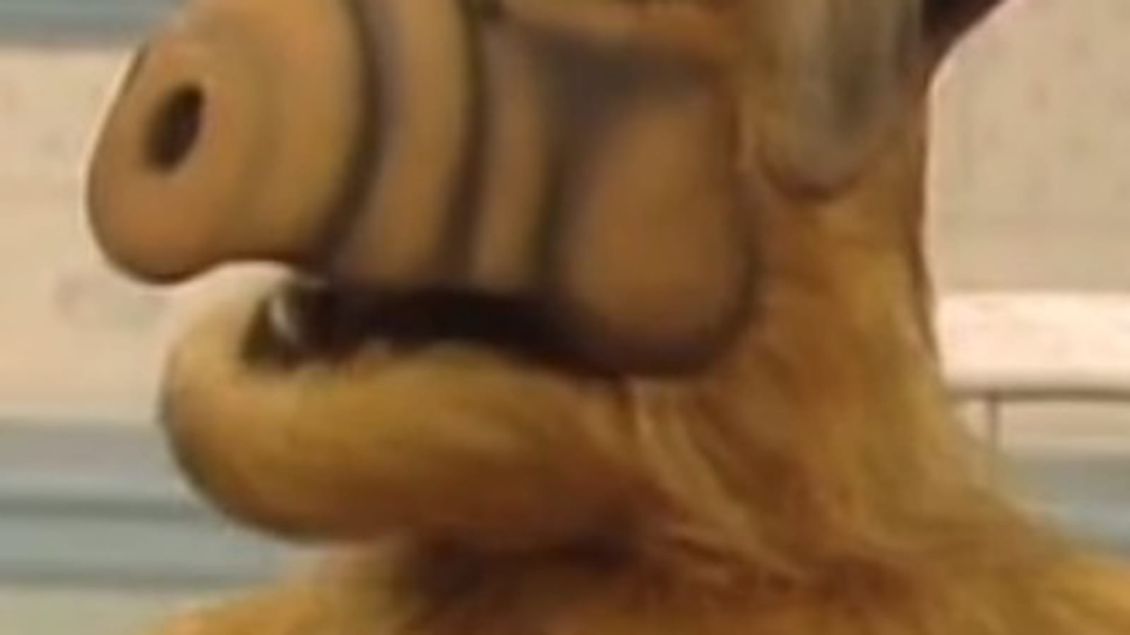 Michu Meszaros, dans la peau de Alf   